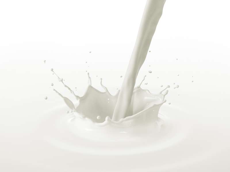 Pasteurized Milk and other Dairy Products