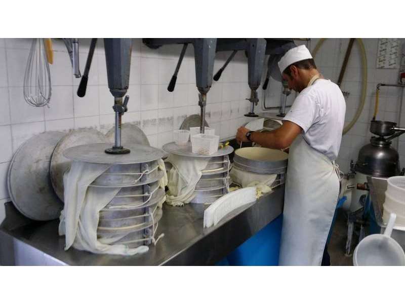 cheese-making