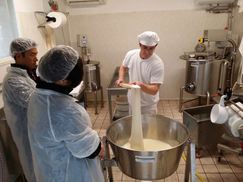 Tailor-made Dairy Courses