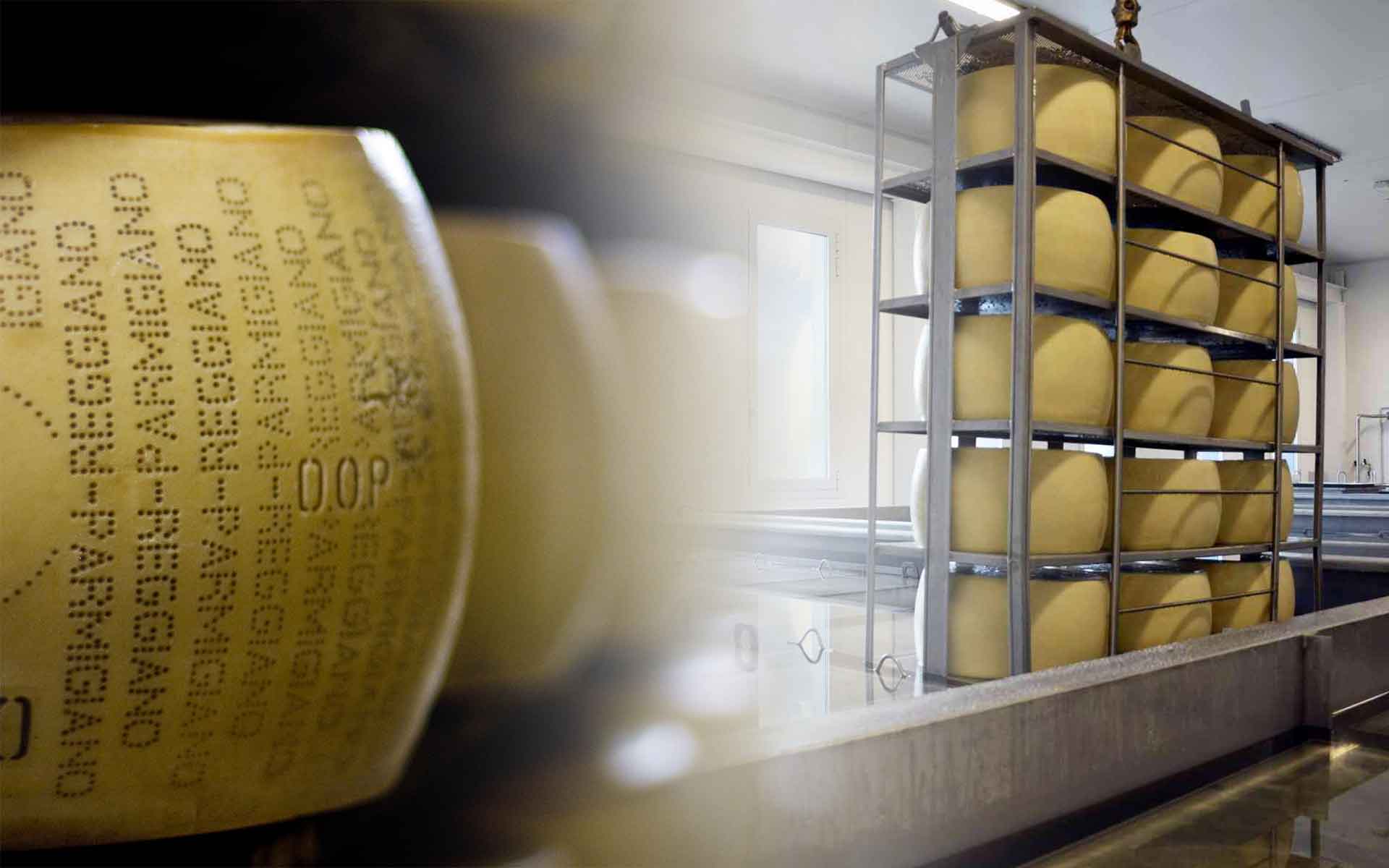 Attrezzature e impianti<span> </span>per Parmigiano Reggiano